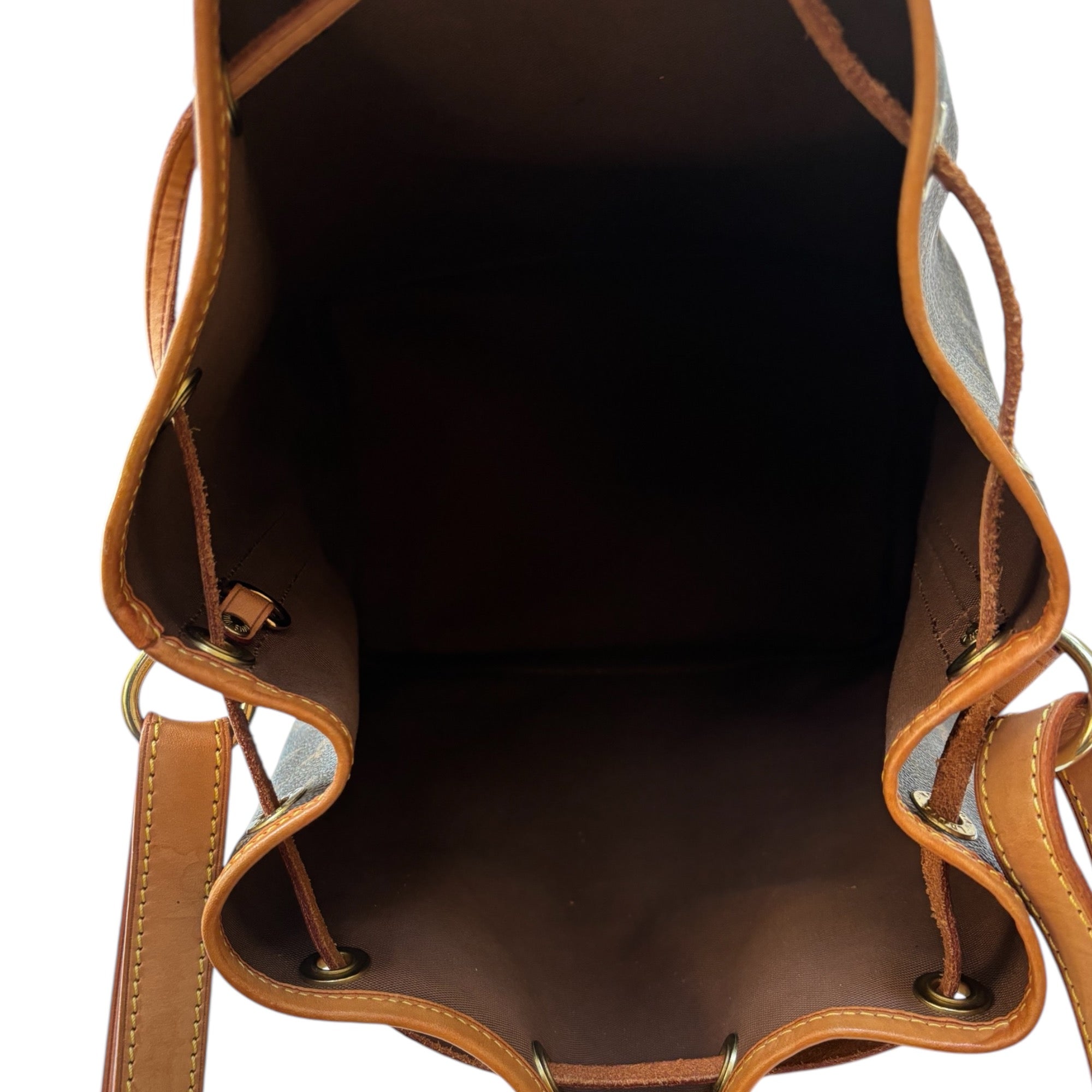 Louis Vuitton Noe Monogram Bucket Bag