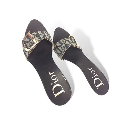 Christian Dior Monogram Trotter Mule Heels with Large Silver C & D Detail - photo 5 of 9