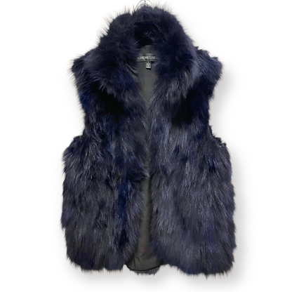 Adrienne Landau Blue Fur Vest - main product photo